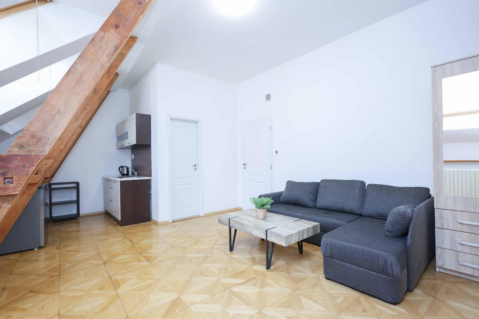 Beethoven Apartments ブラチスラヴァ エクステリア 写真
